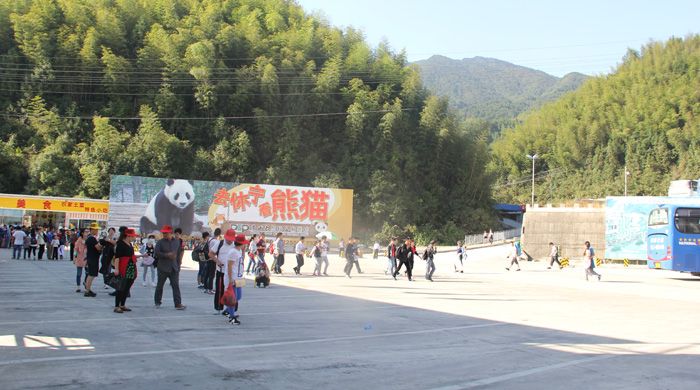 黃山風景區(qū)廣告牌